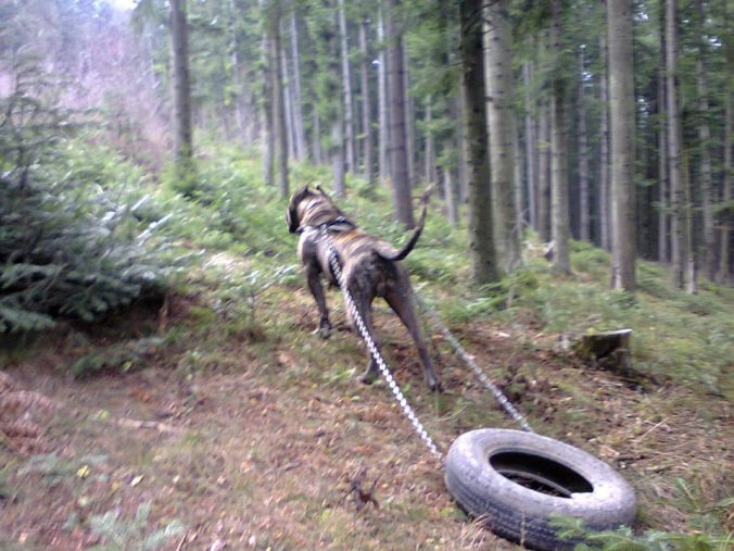 395109_10151329935750336_569826471_n